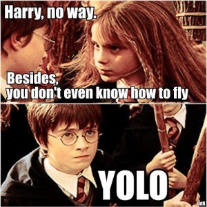 YOLO: You Only Live Once